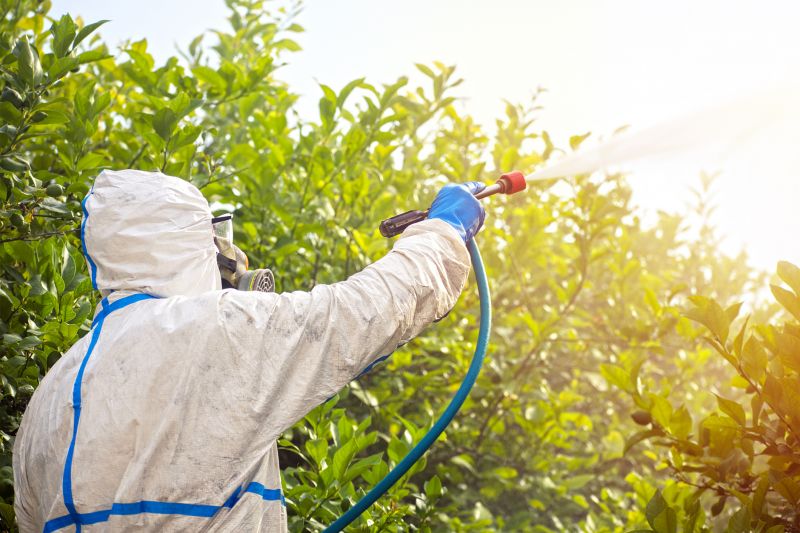 Fumigation Service in San Jose, CA