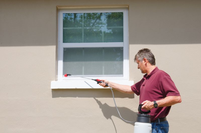 Ant Pest Control Methods That Target Colonies At The Source