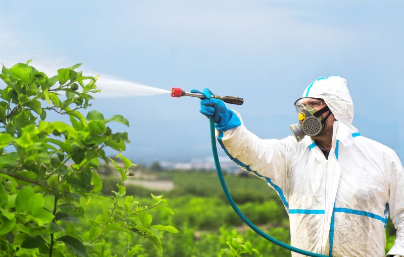Commercial Fumigation in Lafayette, LA