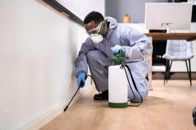 Infestation Prevention detail