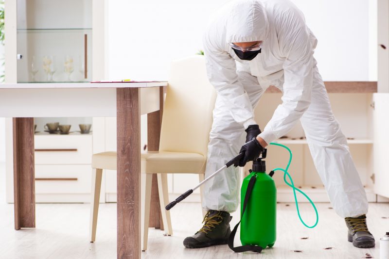 How Routine Pest Control Helps Prevent Major Infestations