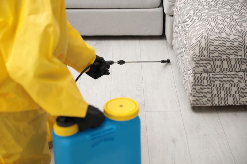How Routine Pest Control Helps Prevent Major Infestations