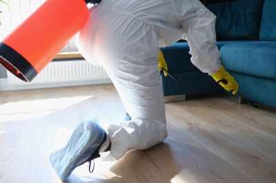Pest Fumigation Service in Kalamazoo, MI
