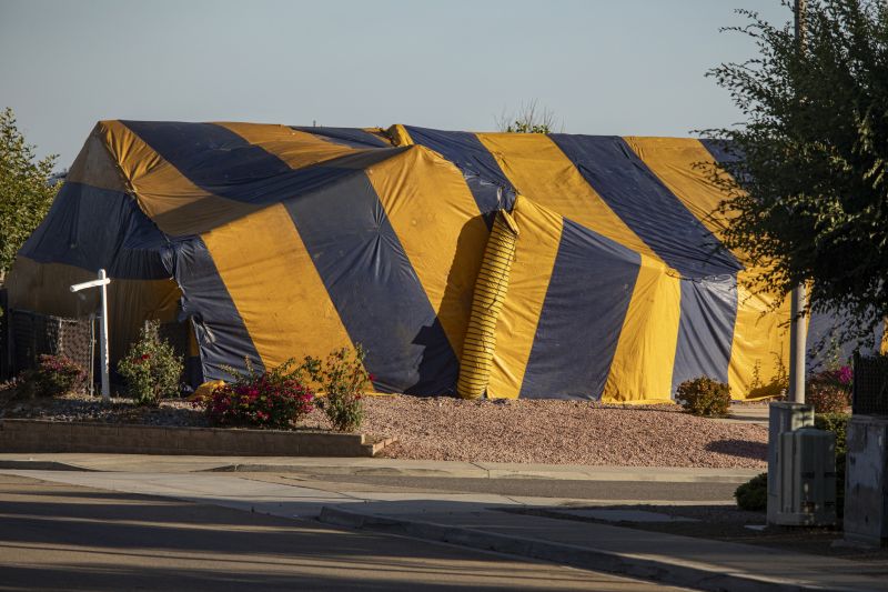 Termite Tenting in Winston Salem, NC